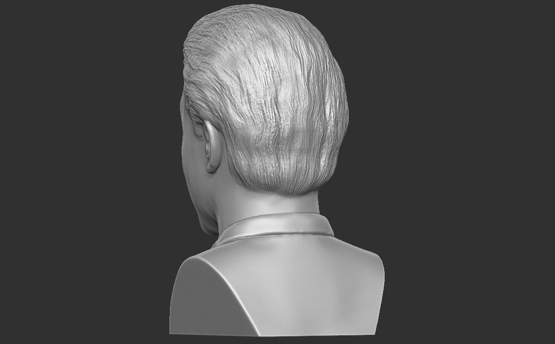 Jerry Seinfeld bust for 3D printing 3D print model_12