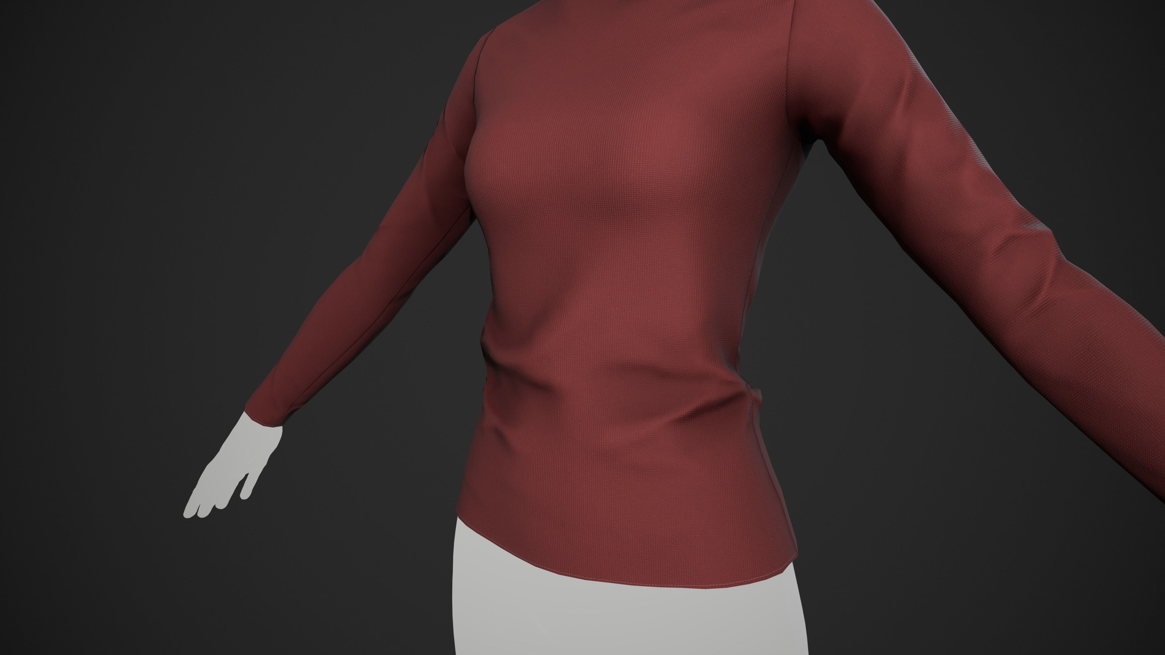 Red Turtle Neck Pull Top  Low-poly 3D model_7