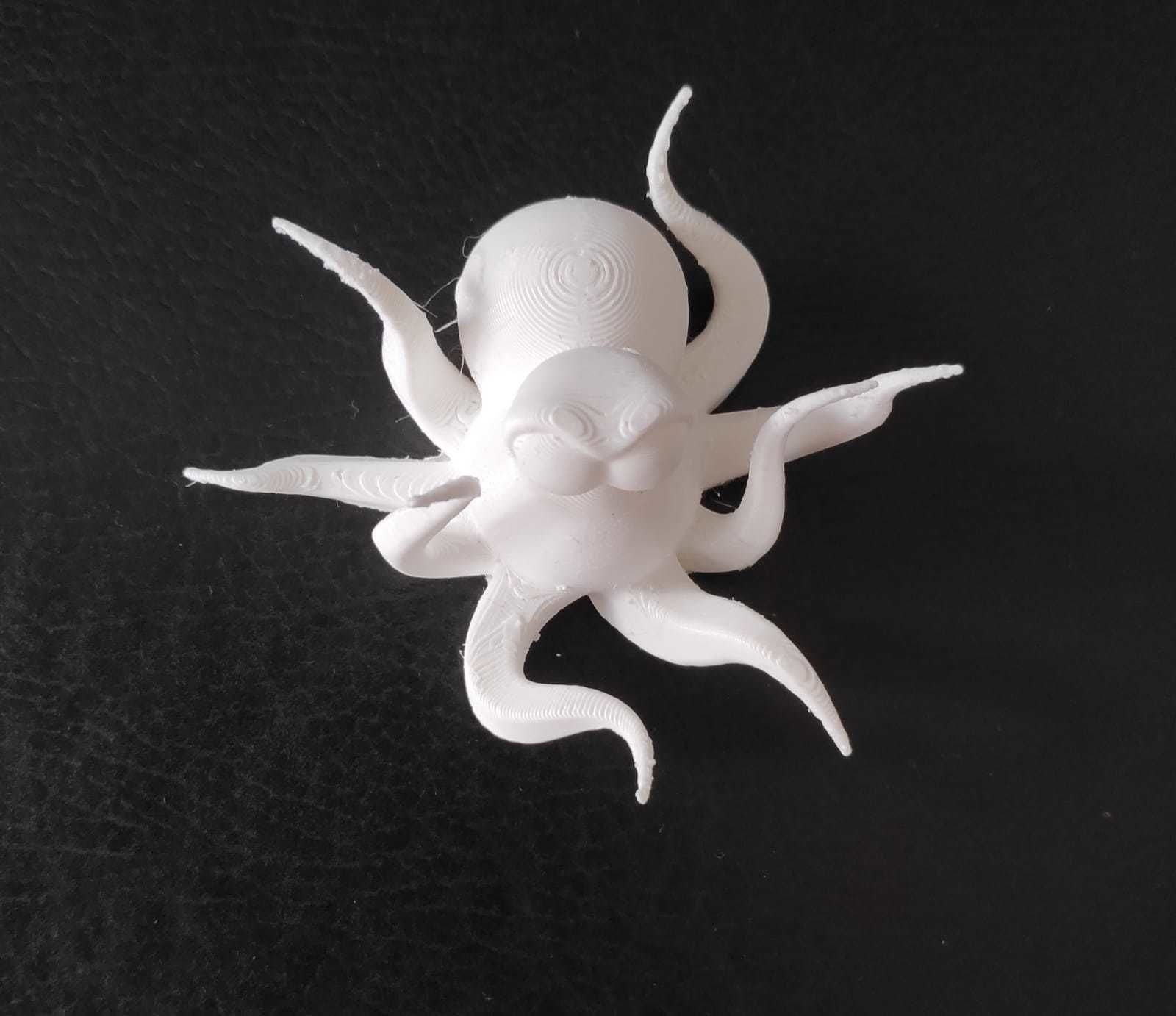 Cartoon Octopus 3D print model_13