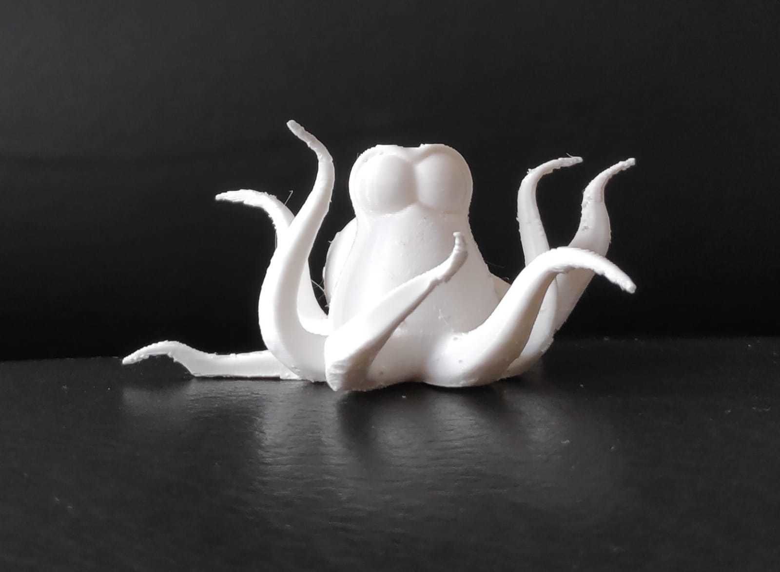 Cartoon Octopus 3D print model_12