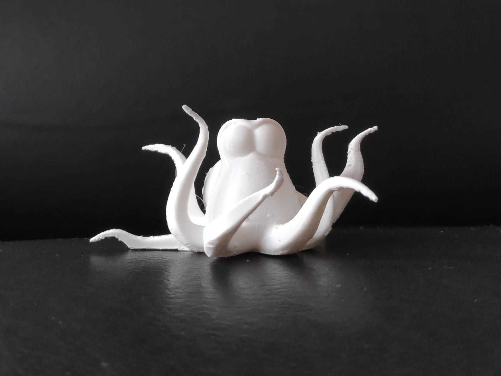 Cartoon Octopus 3D print model_3