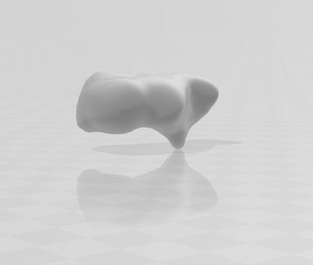 ESQUELETO HUESO POR HUESO - BONE BY BONE SKELETON 3D print model_9