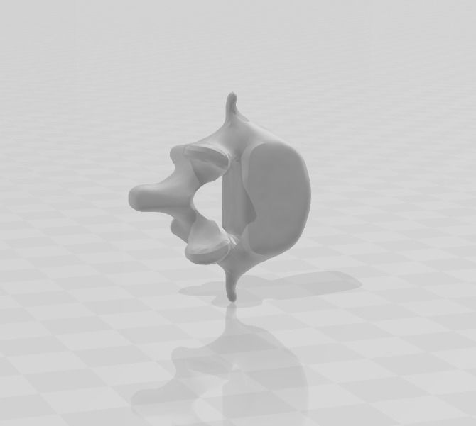 ESQUELETO HUESO POR HUESO - BONE BY BONE SKELETON 3D print model_2