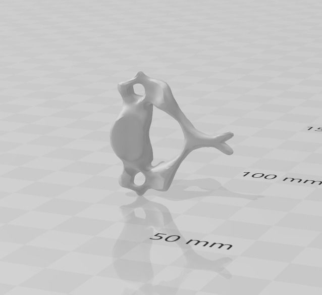 ESQUELETO HUESO POR HUESO - BONE BY BONE SKELETON 3D print model_3