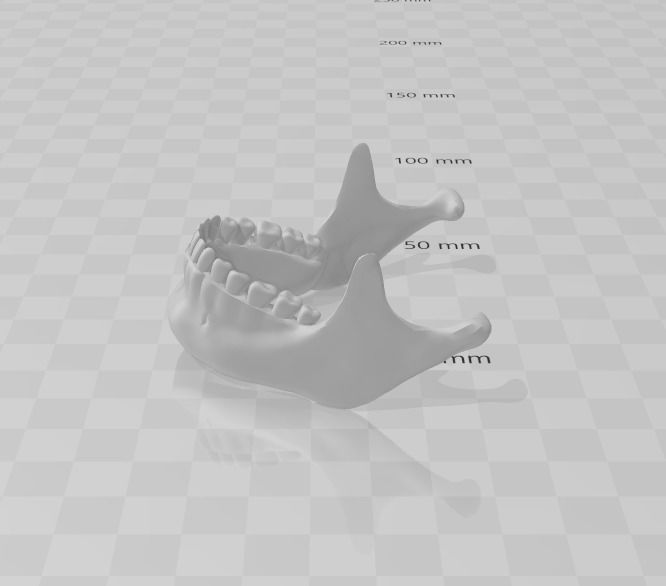 ESQUELETO HUESO POR HUESO - BONE BY BONE SKELETON 3D print model_1