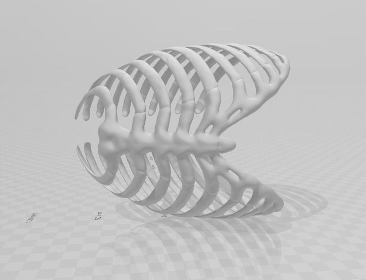 ESQUELETO HUESO POR HUESO - BONE BY BONE SKELETON 3D print model_8