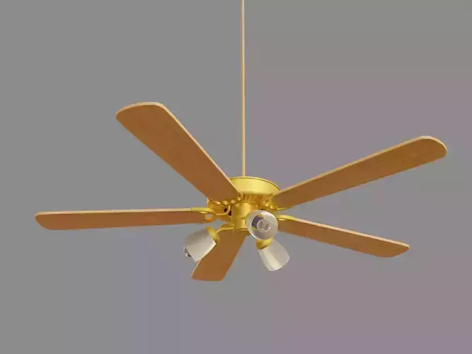 ceiling fan with light
