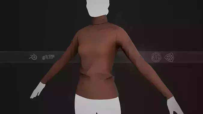 Brown Turtle Neck Pull Top