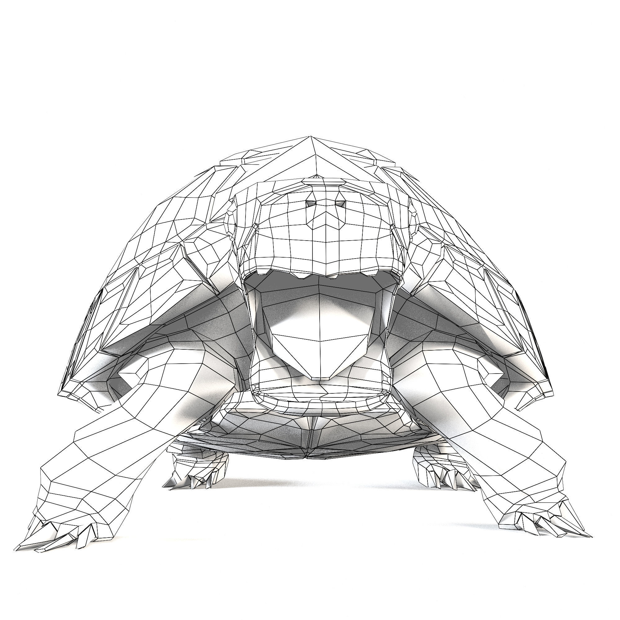 Turtles 3D model_23