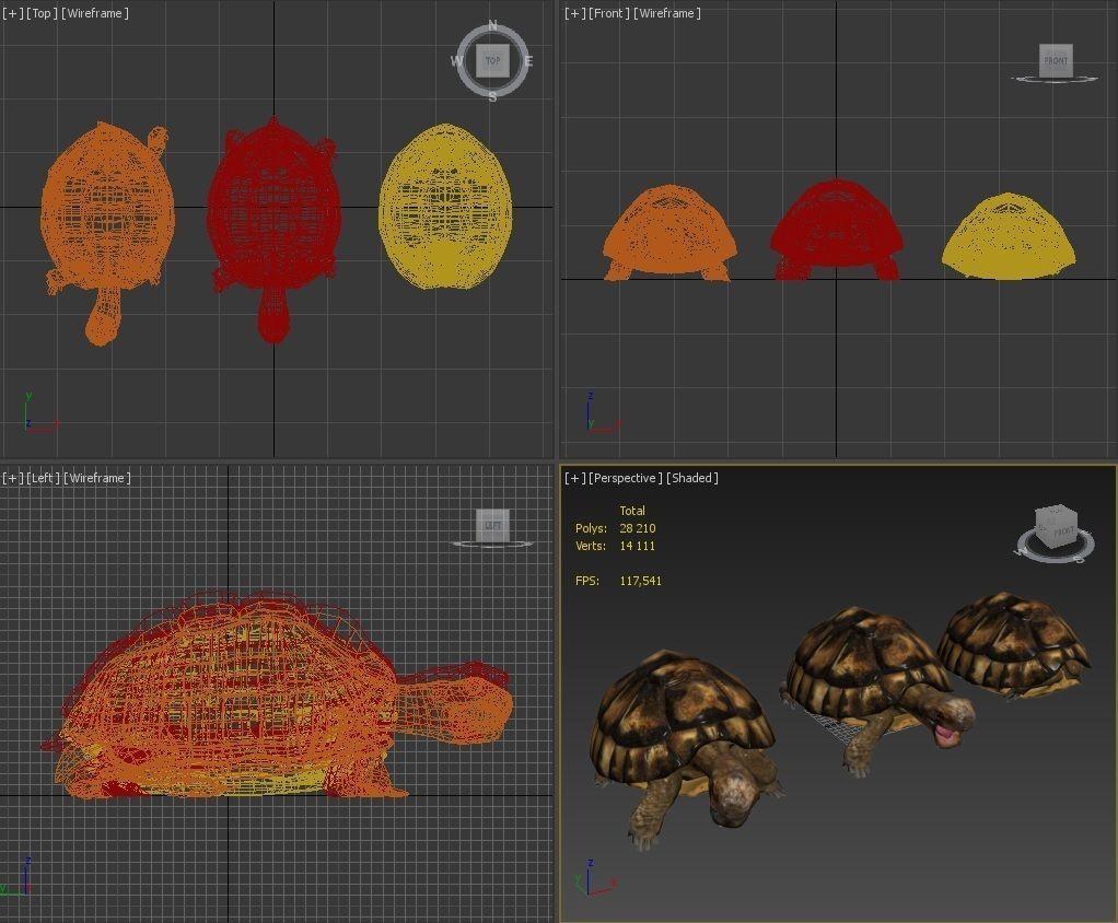 Turtles 3D model_26