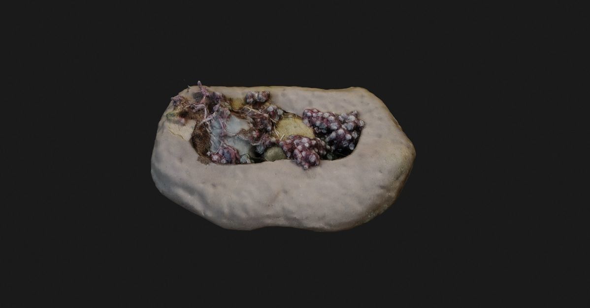 Rock Pack 3D model_12
