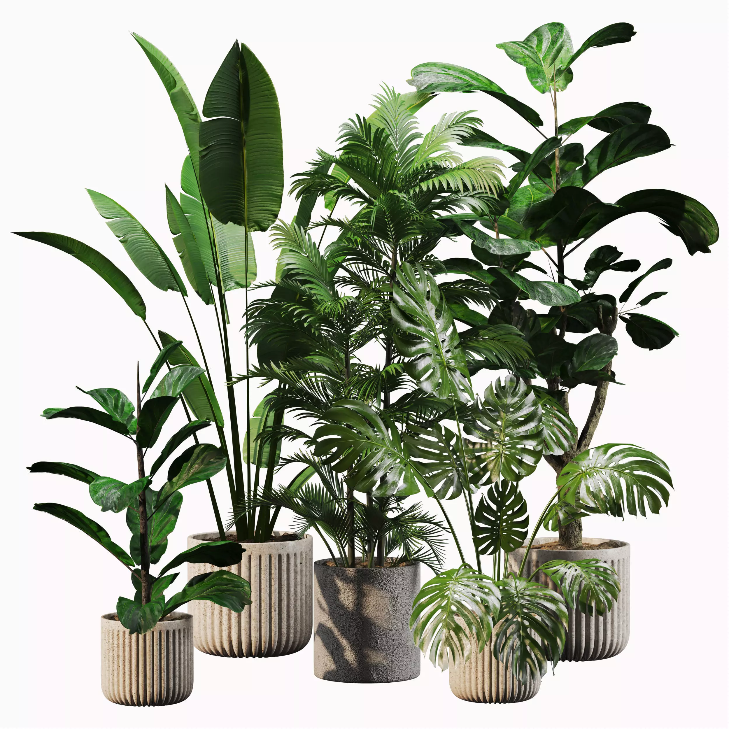 Indoor Plant Set 01 3D model_0
