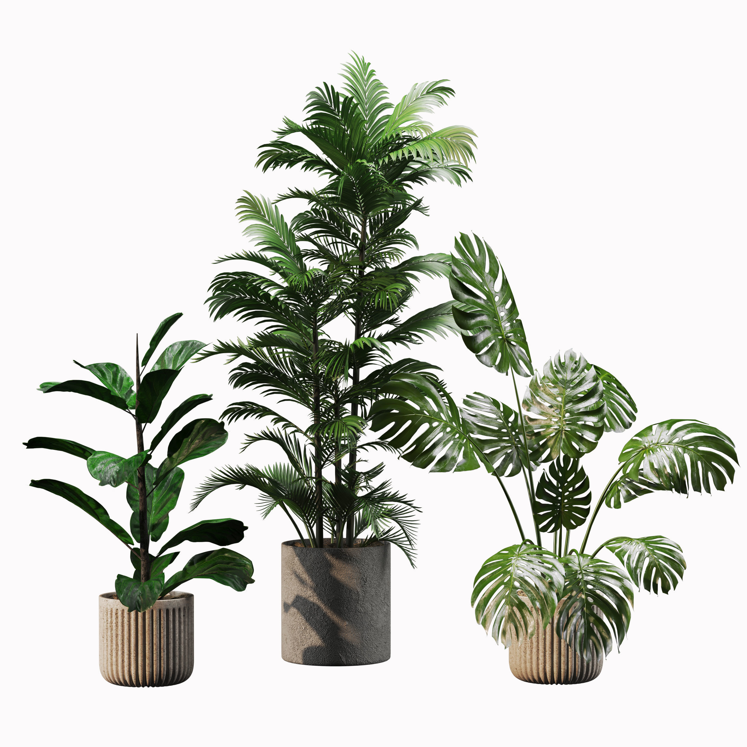 Indoor Plant Set 01 3D model_2