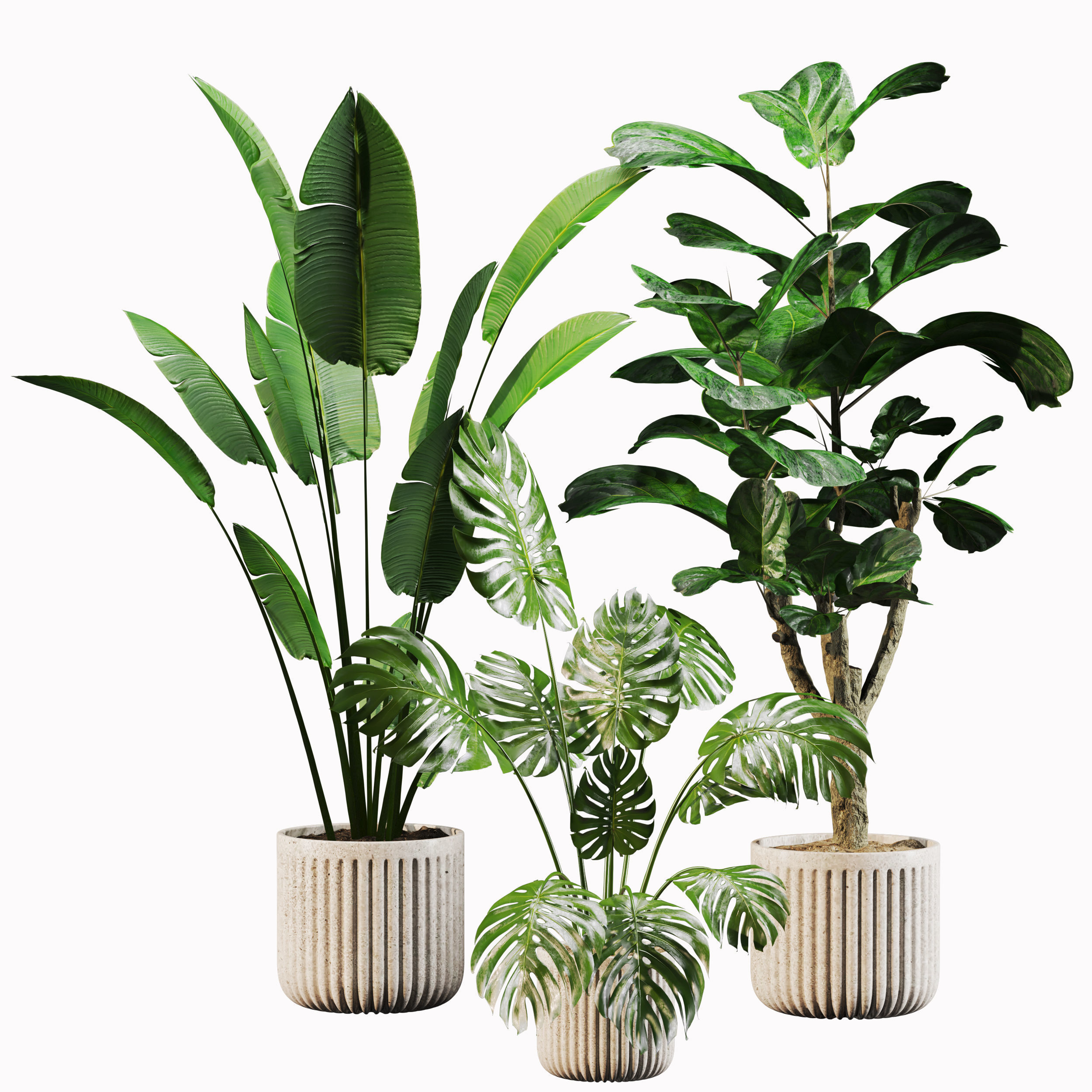 Indoor Plant Set 01 3D model_1