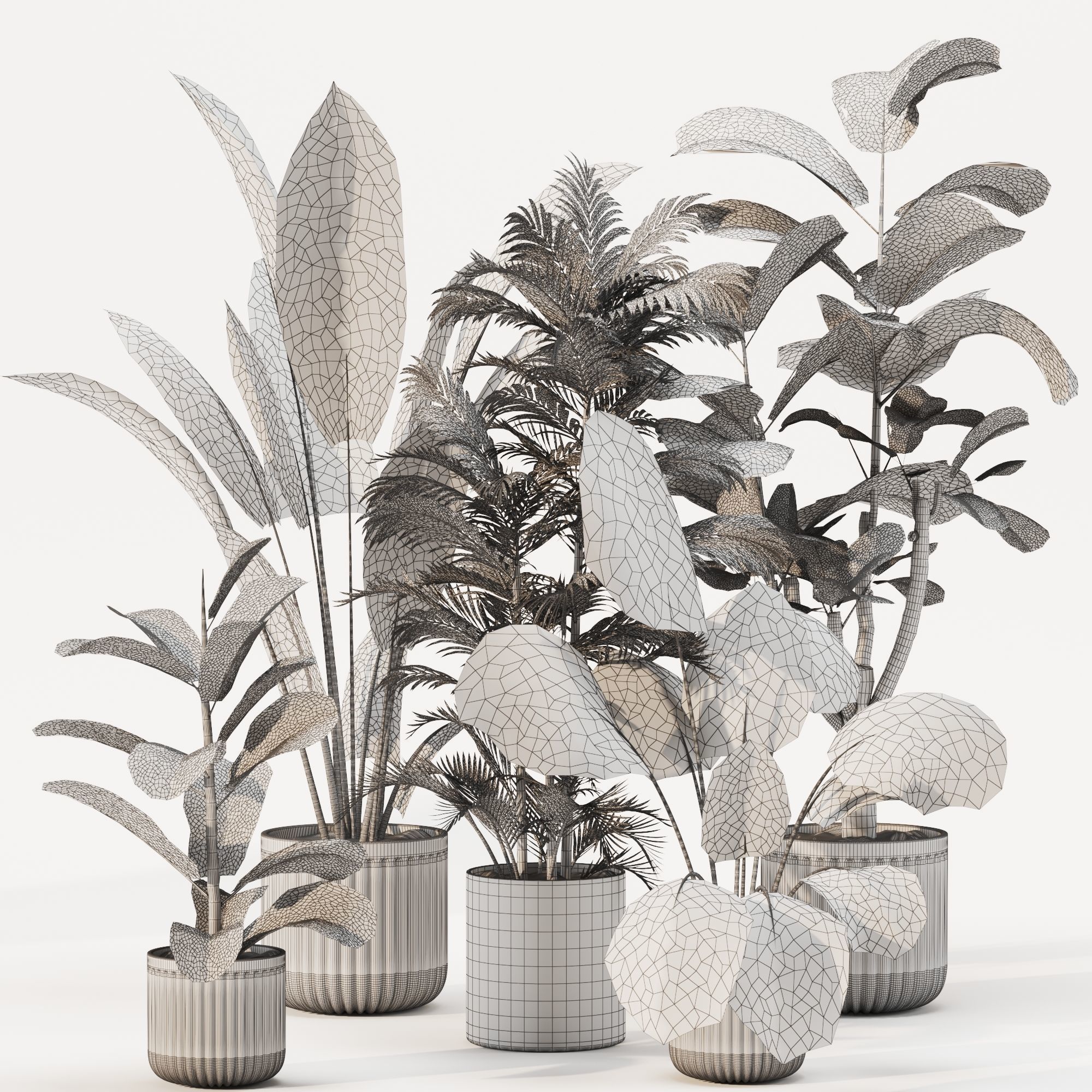 Indoor Plant Set 01 3D model_3