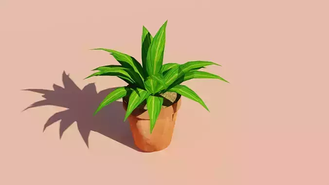 Plant Pot