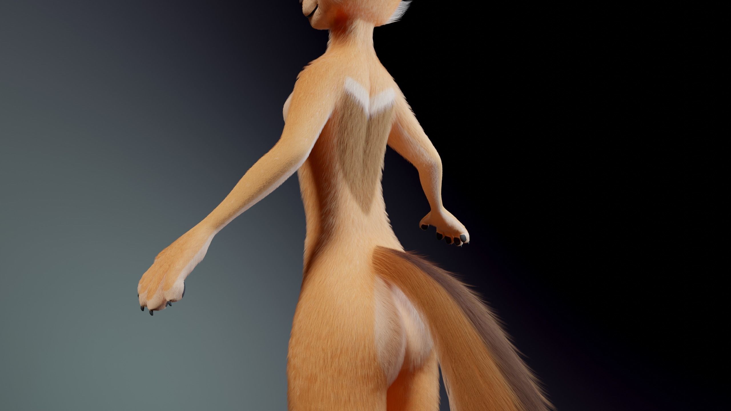 Julie Anthro Fox 3D model_8