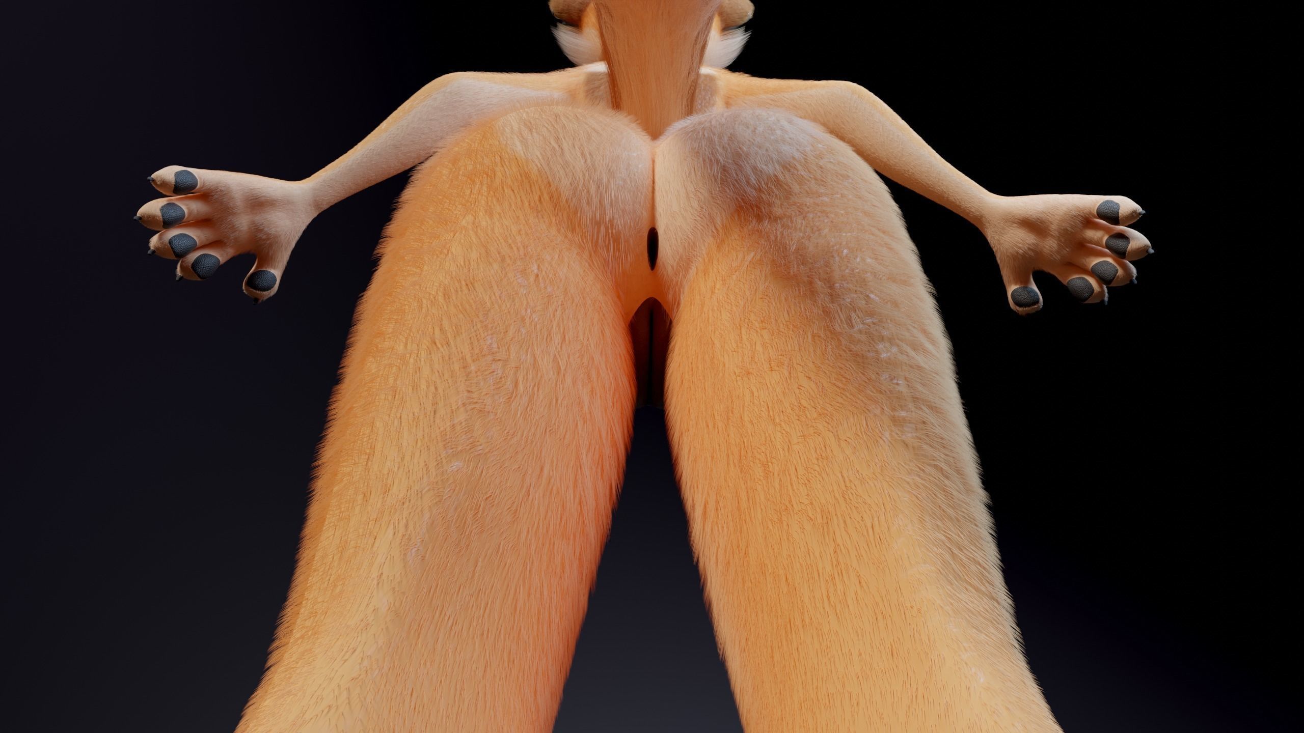 Julie Anthro Fox 3D model_17
