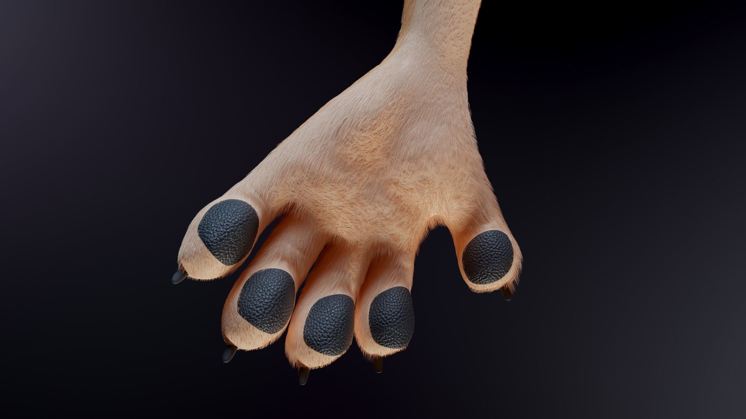 Julie Anthro Fox 3D model_13