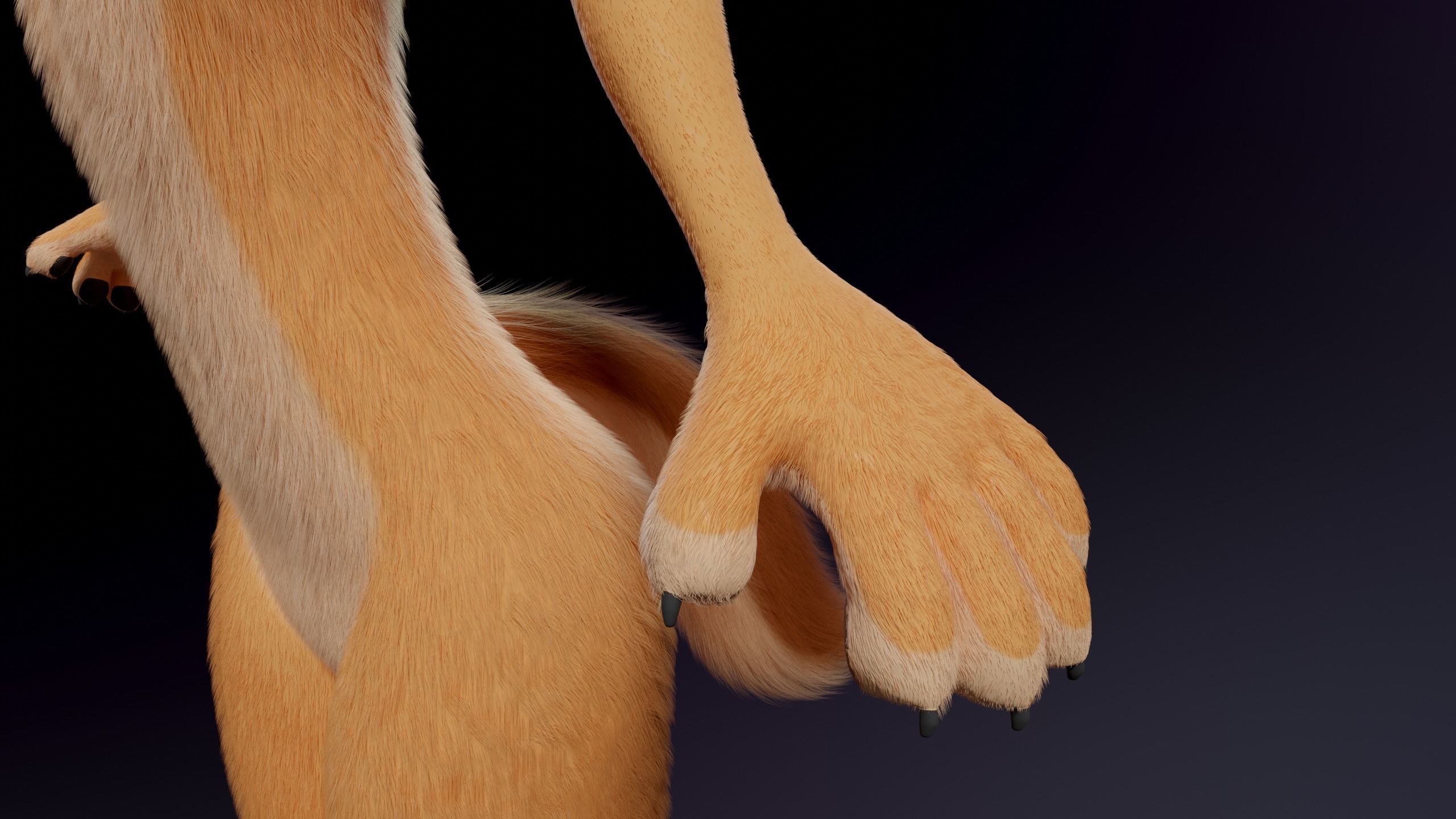 Julie Anthro Fox 3D model_12