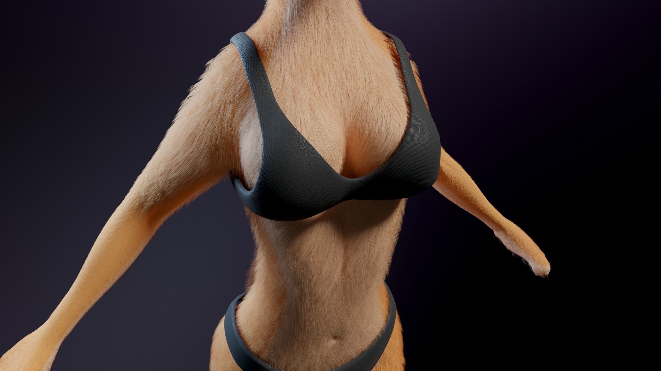 Julie Anthro Fox 3D model_26