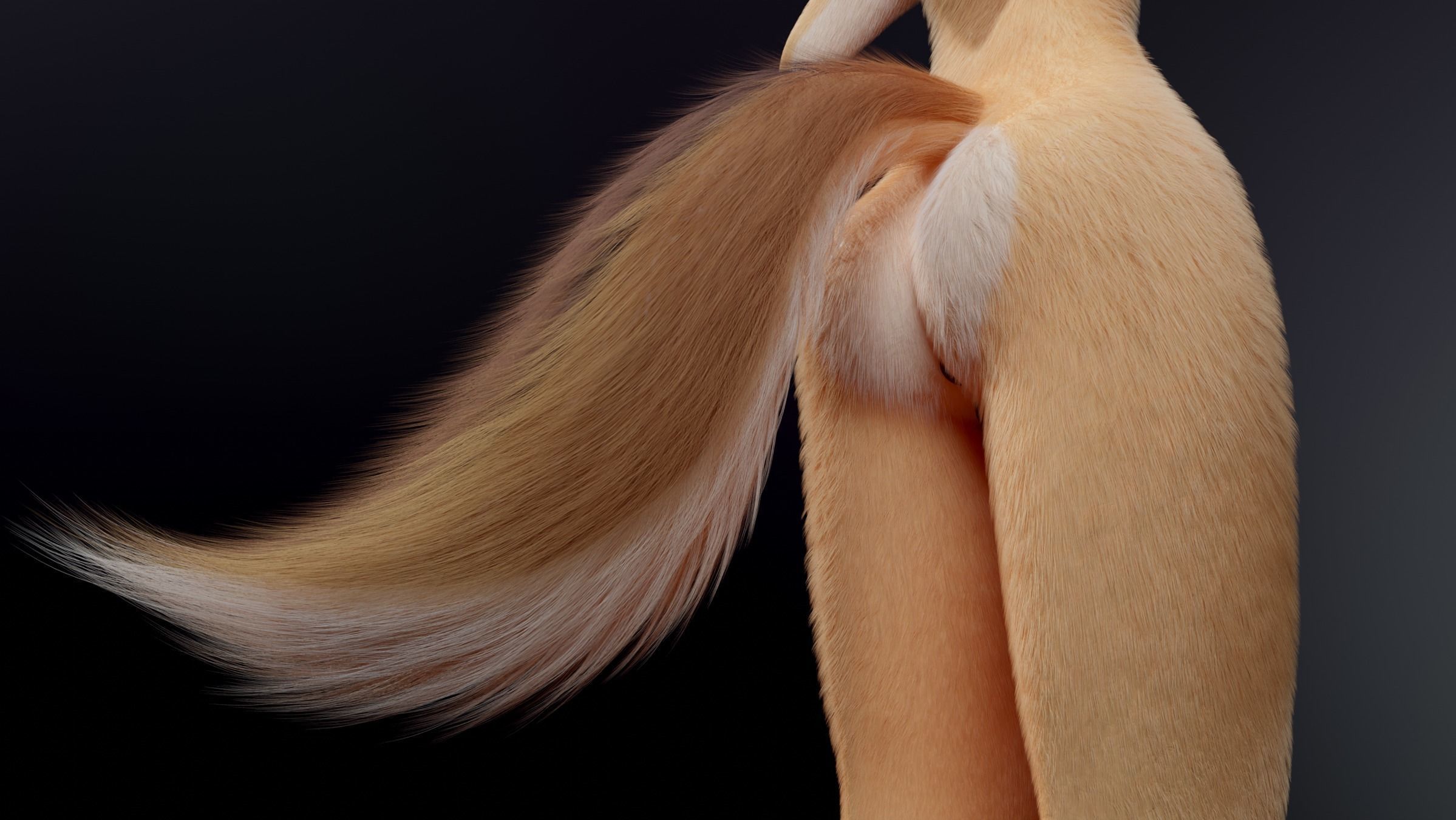 Julie Anthro Fox 3D model_11