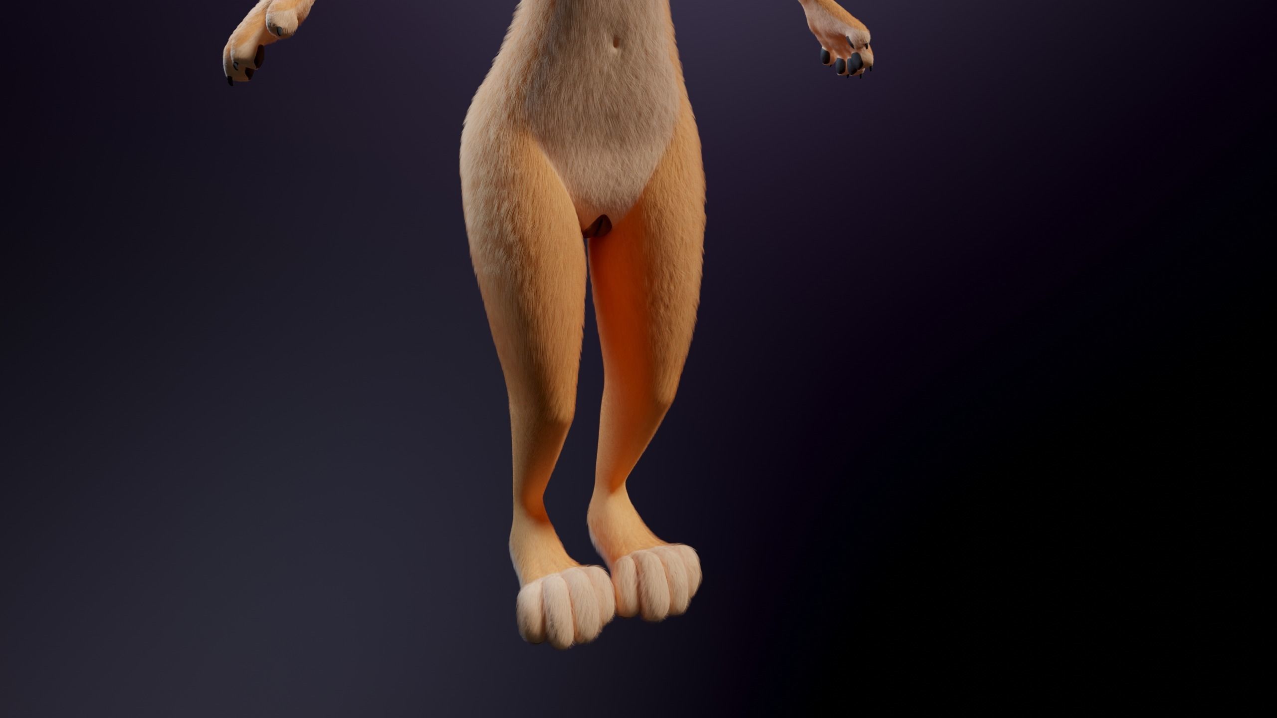 Julie Anthro Fox 3D model_9