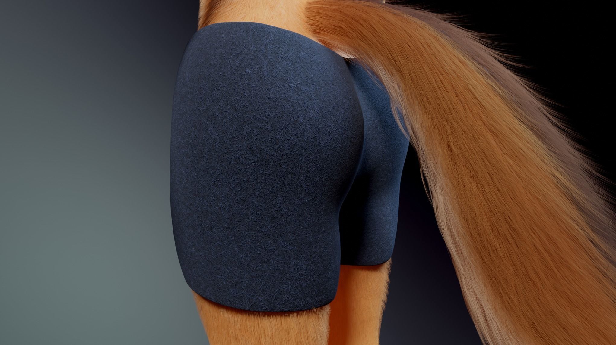 Julie Anthro Fox 3D model_29