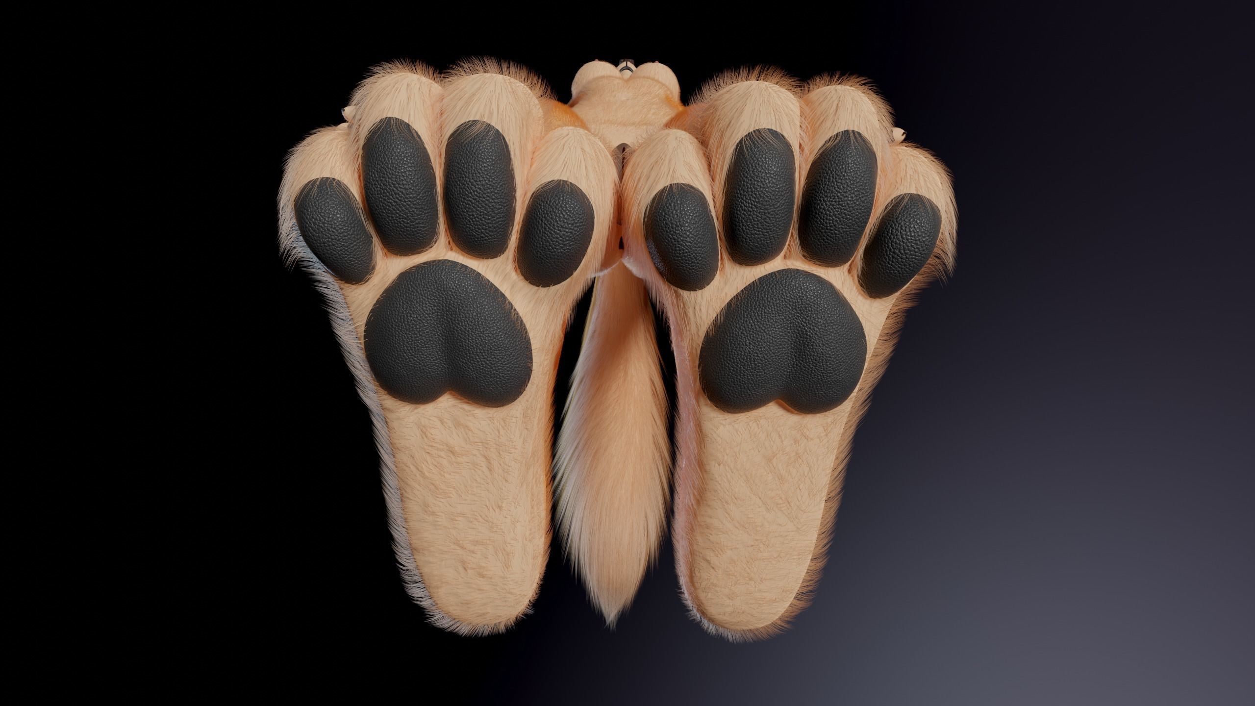 Julie Anthro Fox 3D model_15