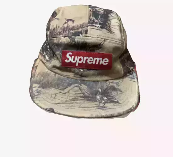 Supreme Dogs and Ducks Cap 3D print model