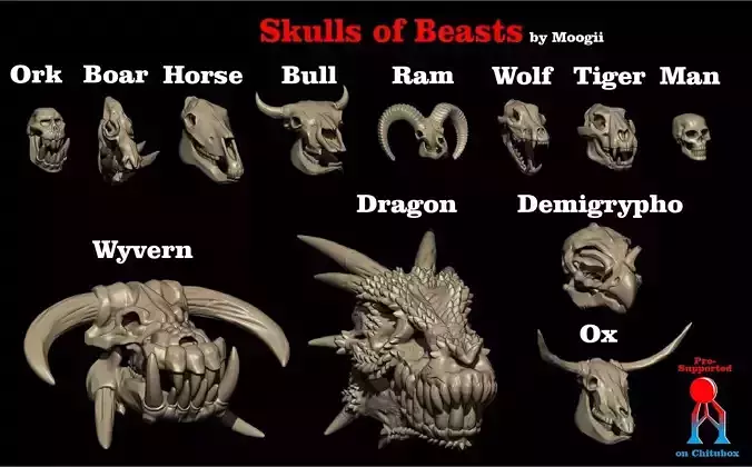 SKULLS OF BEASTS 3D print model