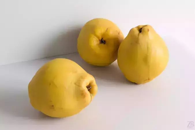 Quince 3D model