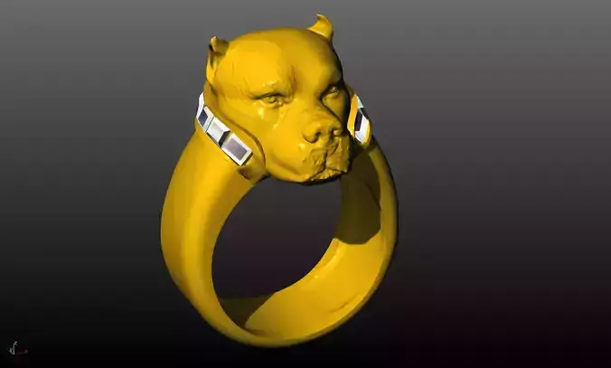 pitbull ring
