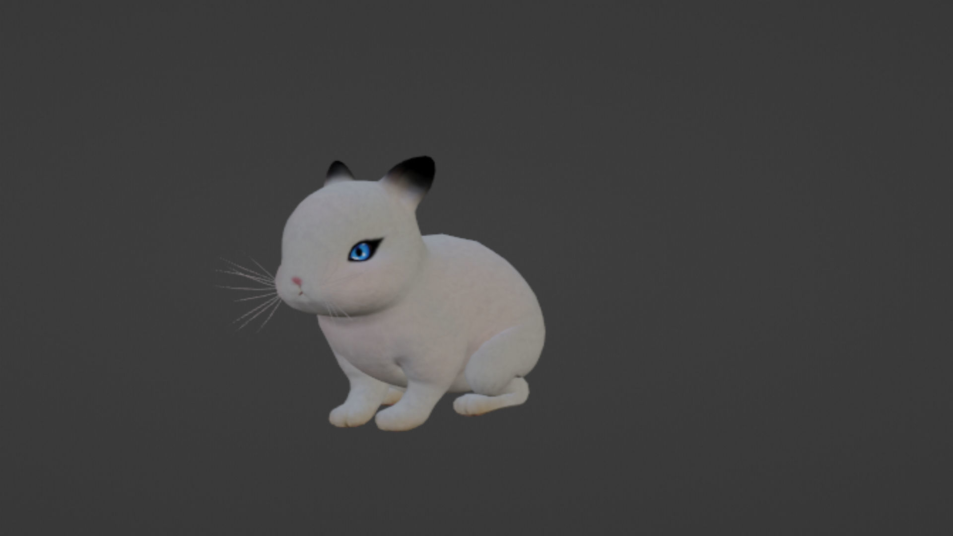 Rabbit Low-poly 3D model_8