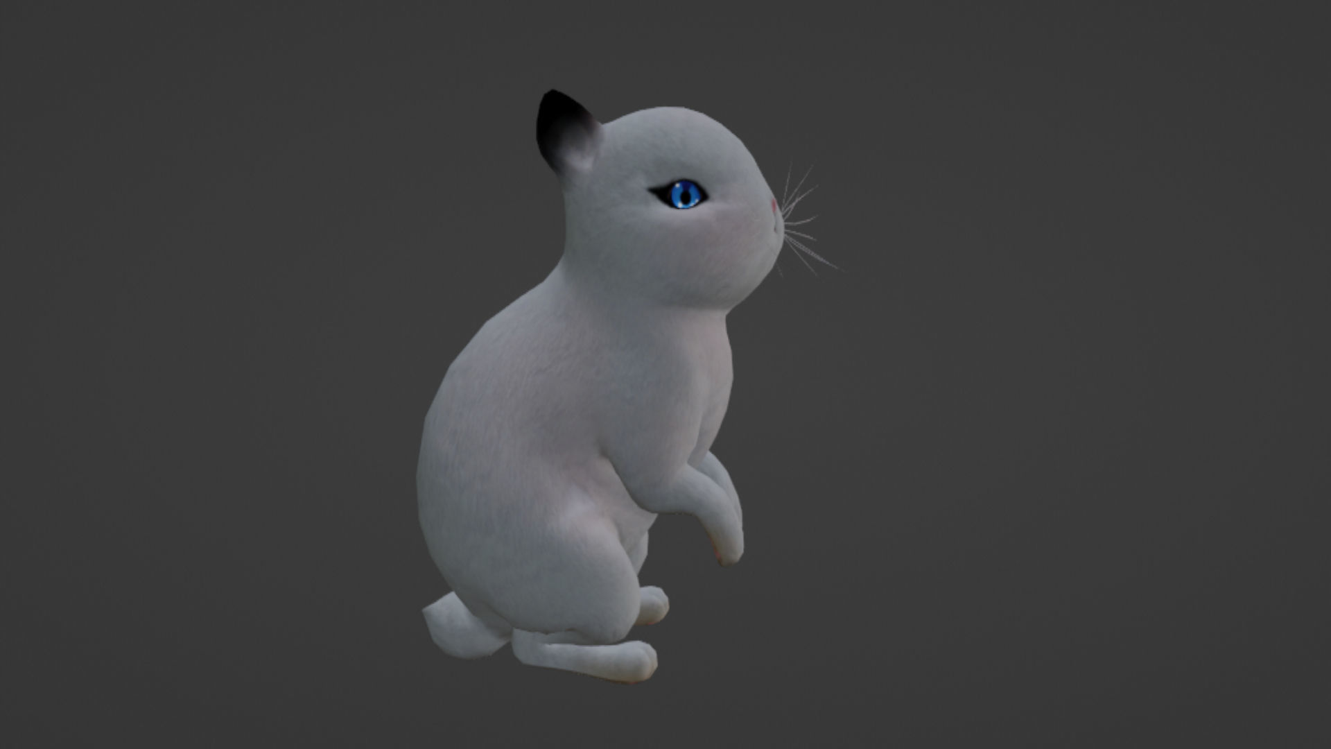 Rabbit Low-poly 3D model_5