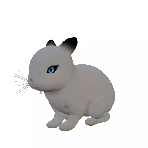 Rabbit Low-poly 3D model_0