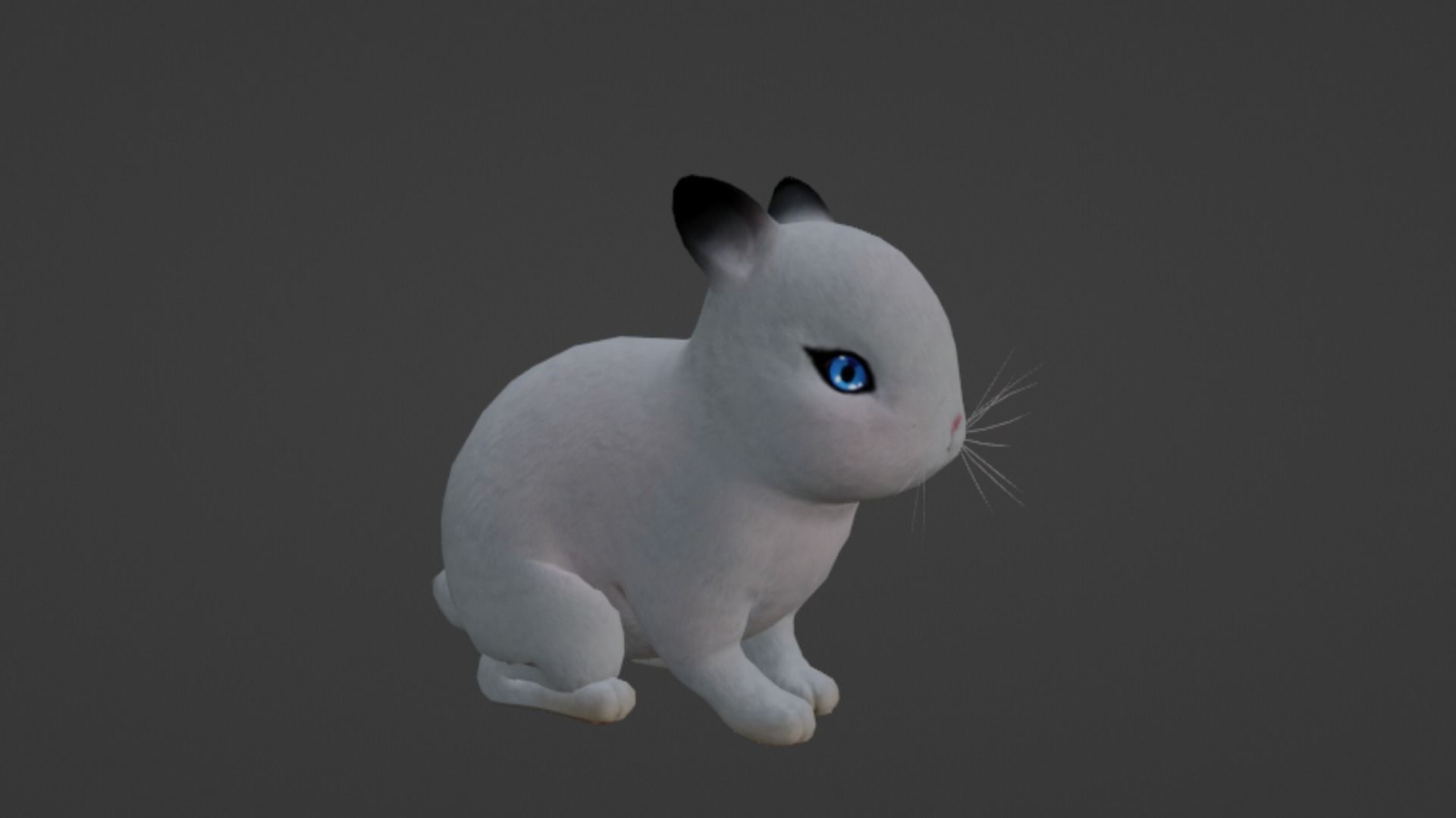 Rabbit Low-poly 3D model_9