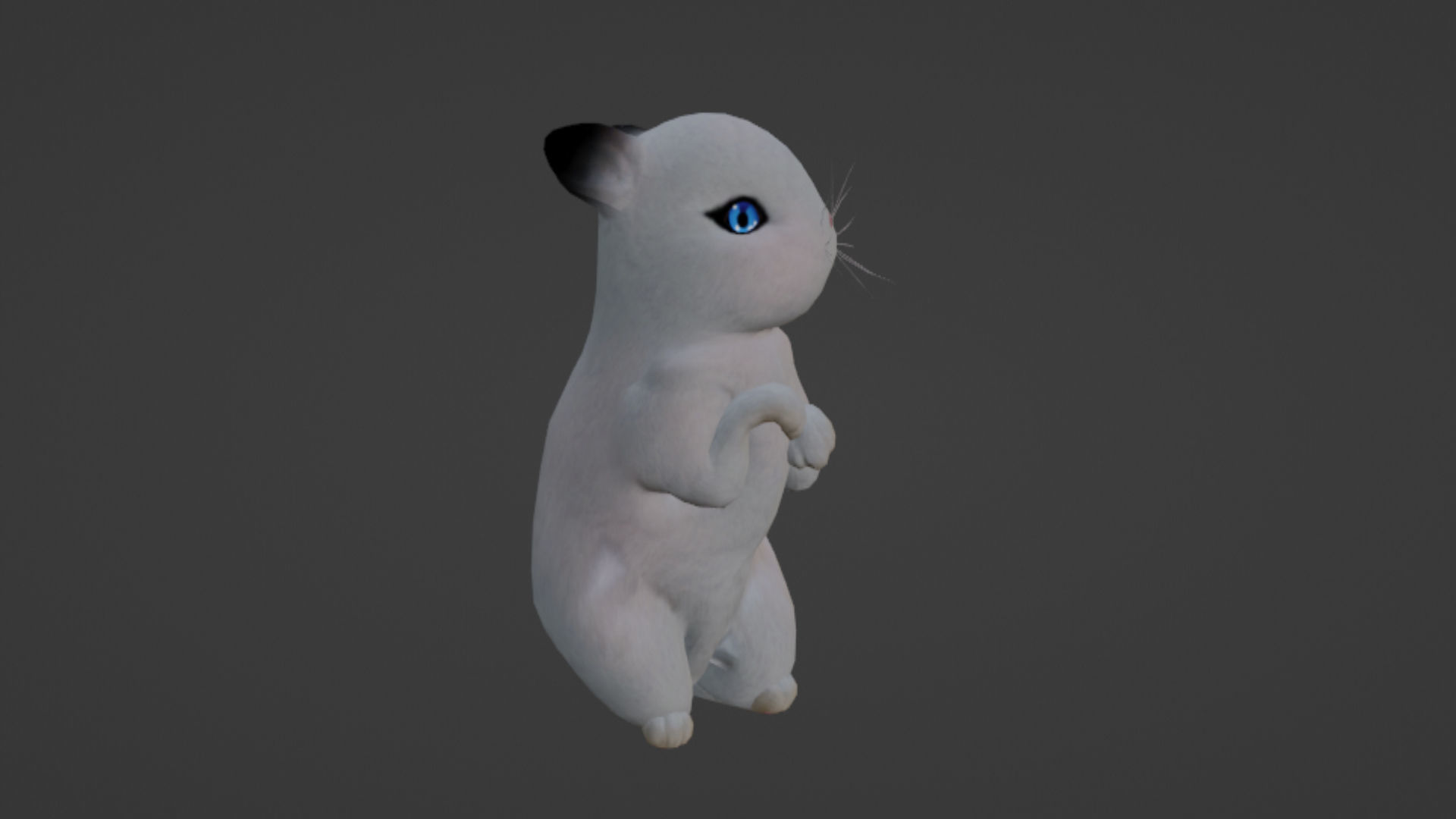 Rabbit Low-poly 3D model_1