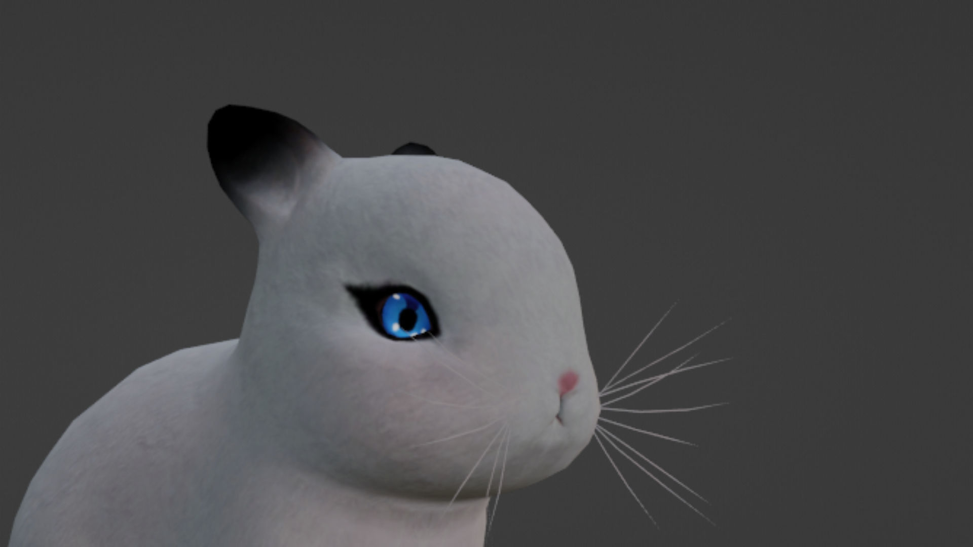 Rabbit Low-poly 3D model_2