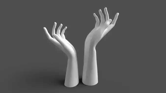 Female Hands 3D Model Collection