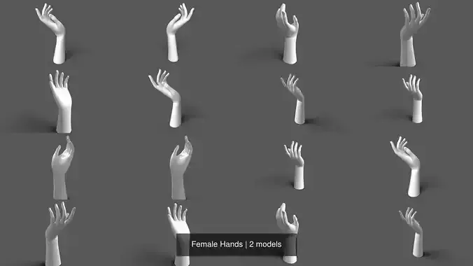 Female Hands
