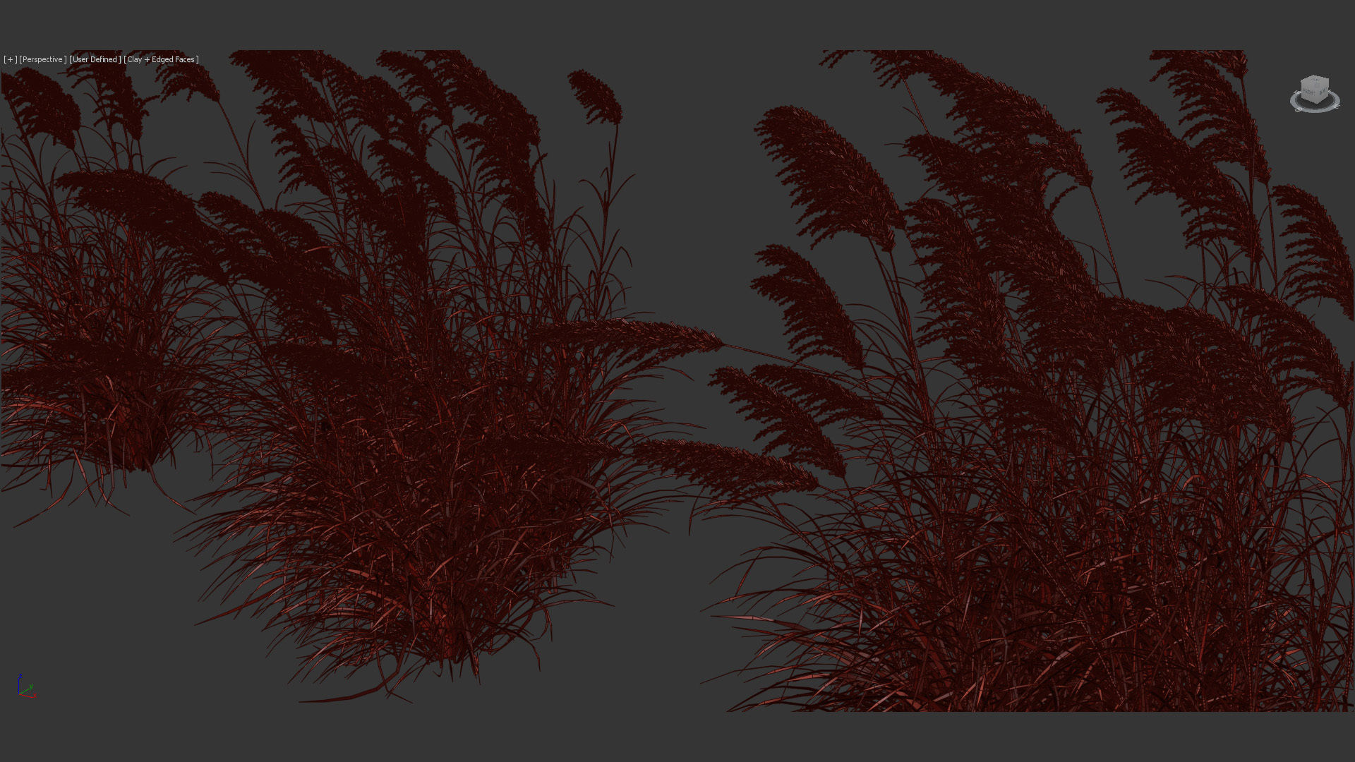 Miscanthus sacchariflorus Amur silver grass 3D Model 01 3D model_12