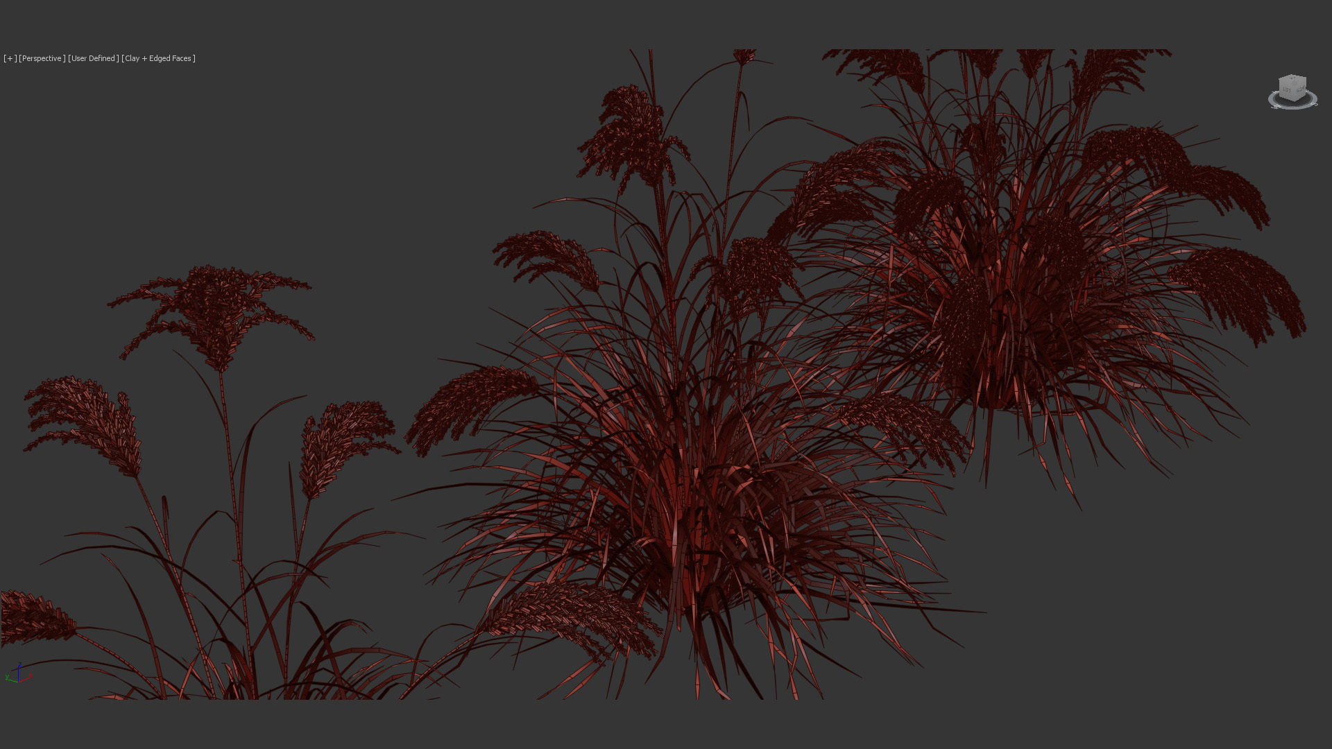 Miscanthus sacchariflorus Amur silver grass 3D Model 01 3D model_10