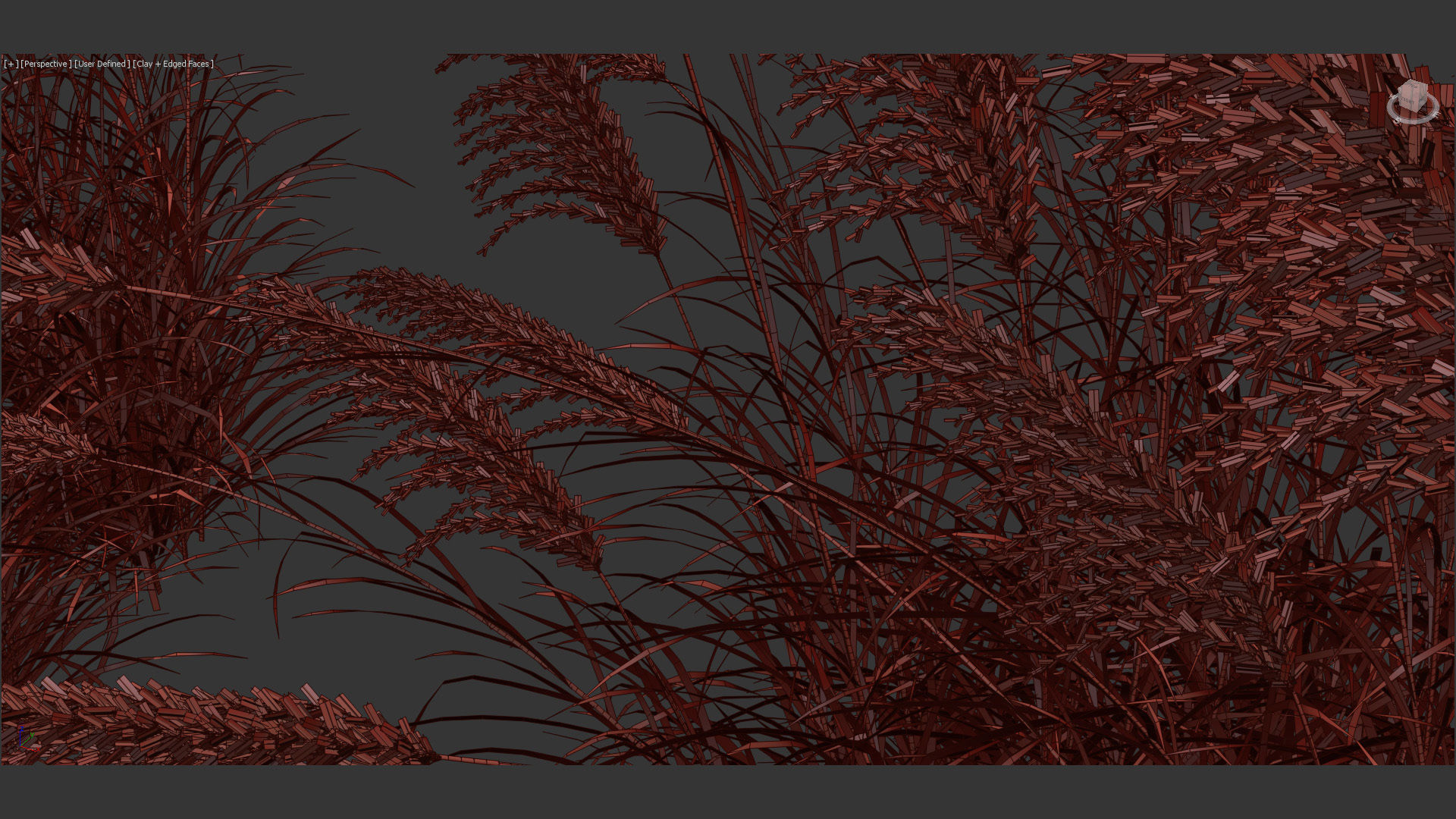 Miscanthus sacchariflorus Amur silver grass 3D Model 01 3D model_14