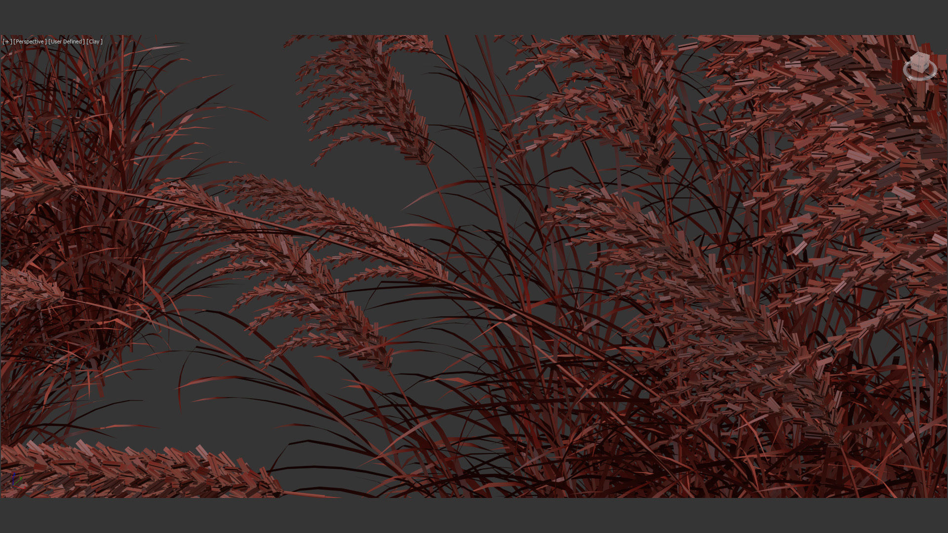 Miscanthus sacchariflorus Amur silver grass 3D Model 01 3D model_13