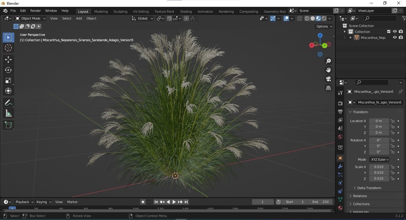 Plants Miscanthus Nepalensis Sinensis Sarabande Adagio Version05 3D model_4