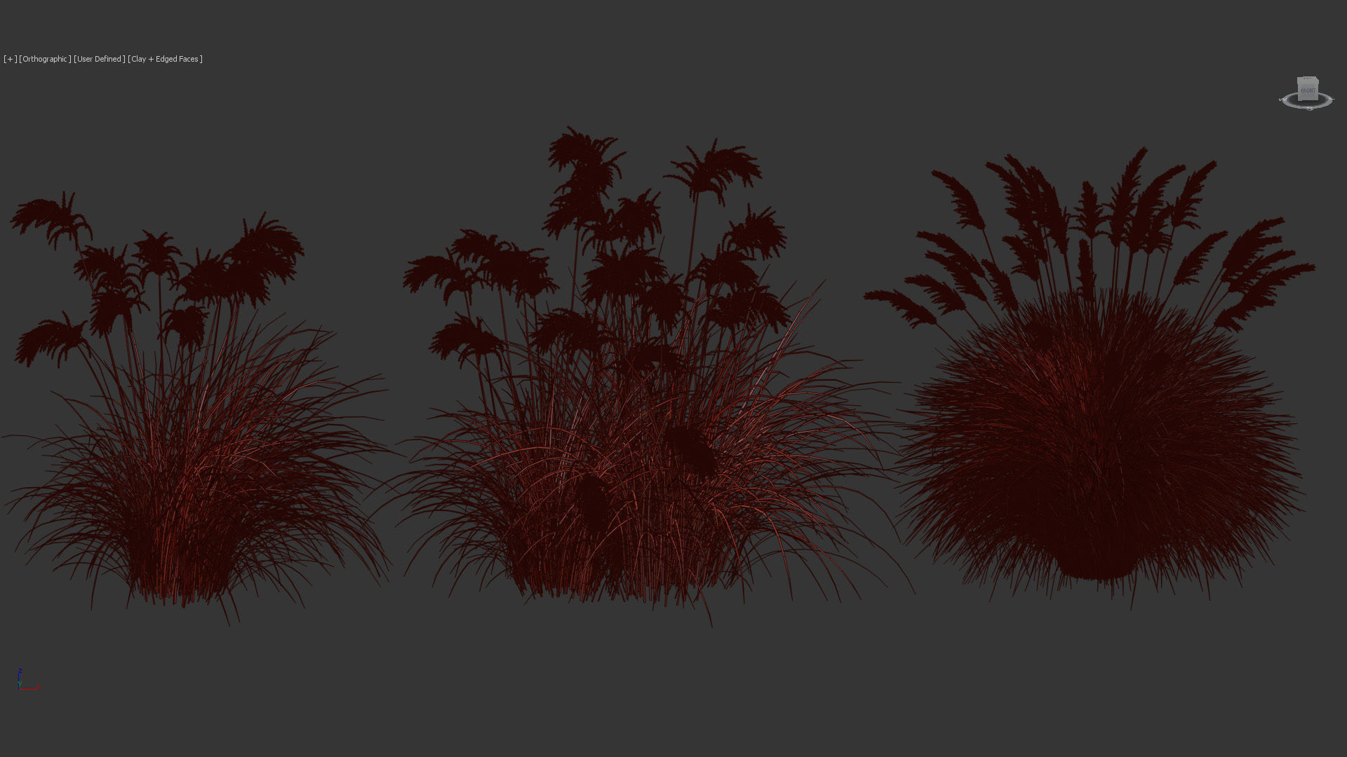 Miscanthus sacchariflorus Amur silver grass 3D Model 02 3D model_12