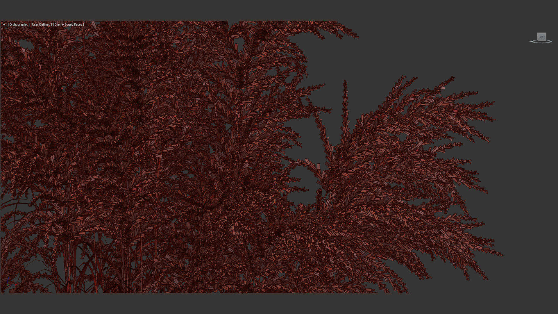 Miscanthus sacchariflorus Amur silver grass 3D Model 02 3D model_14