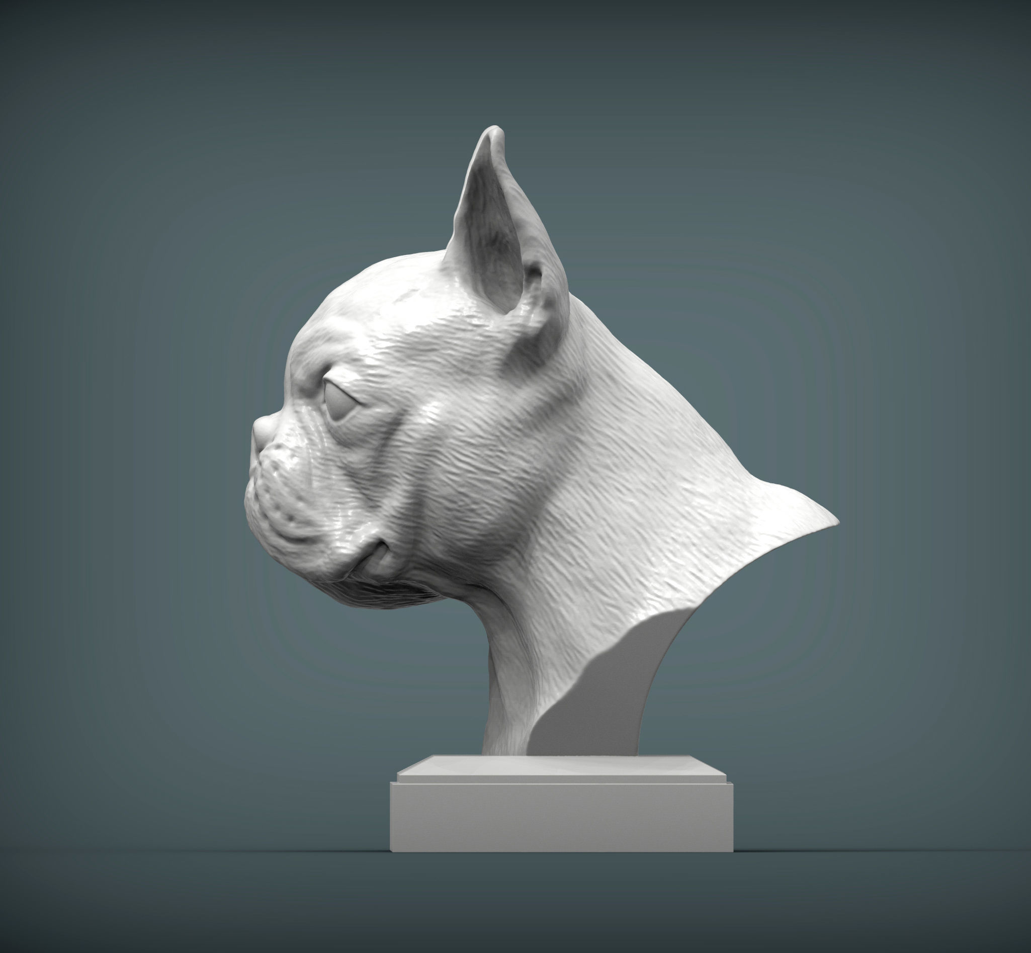boston terrier 3D print model_2