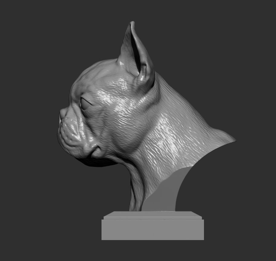 boston terrier 3D print model_7